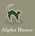 AlphaHouse – Inicio